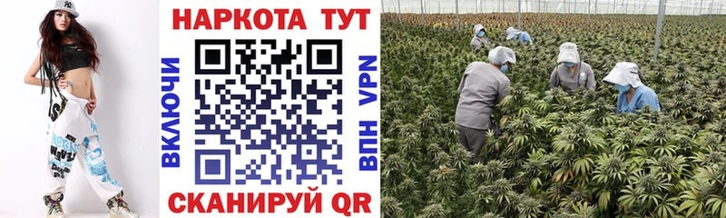 Продажа наркотиков Сафоново Галлюциногенные грибы Марихуана Альфа ПВП АМФ